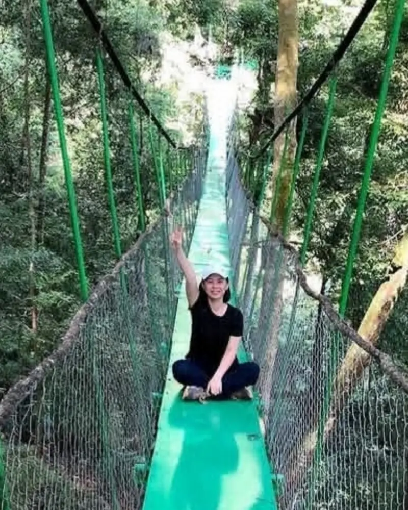 Canopy trail bukit lawang medan