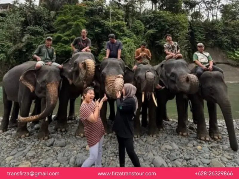 Paket tour tangkahan medan