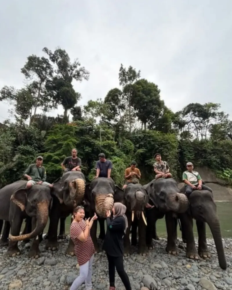 Paket tour tangkahan