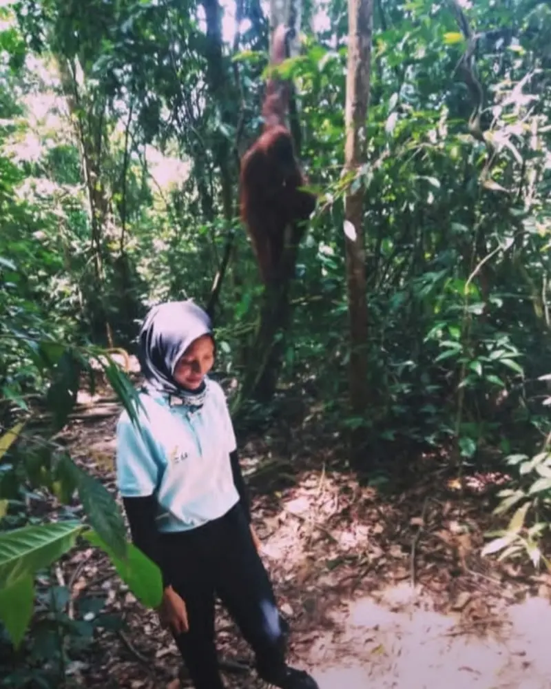 Trekking bukit lawang medan