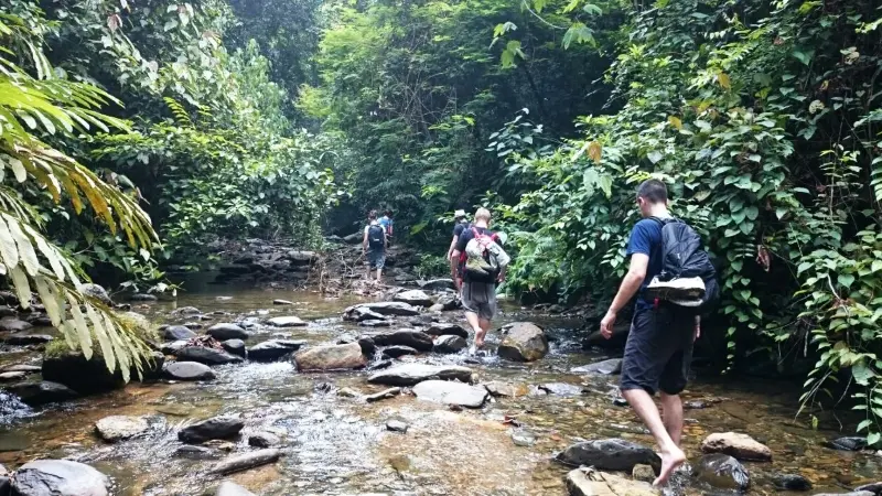Jungle Trekking Saat Paket Tour Bukit Lawang 2 Hari 1 Malam